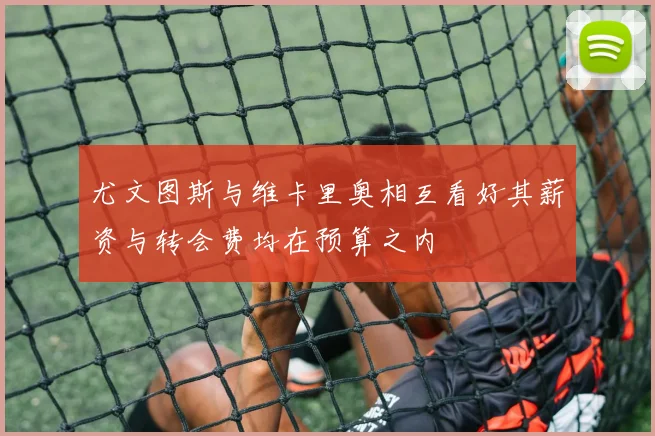 尤文图斯与维卡里奥相互看好其薪资与转会费均在预算之内